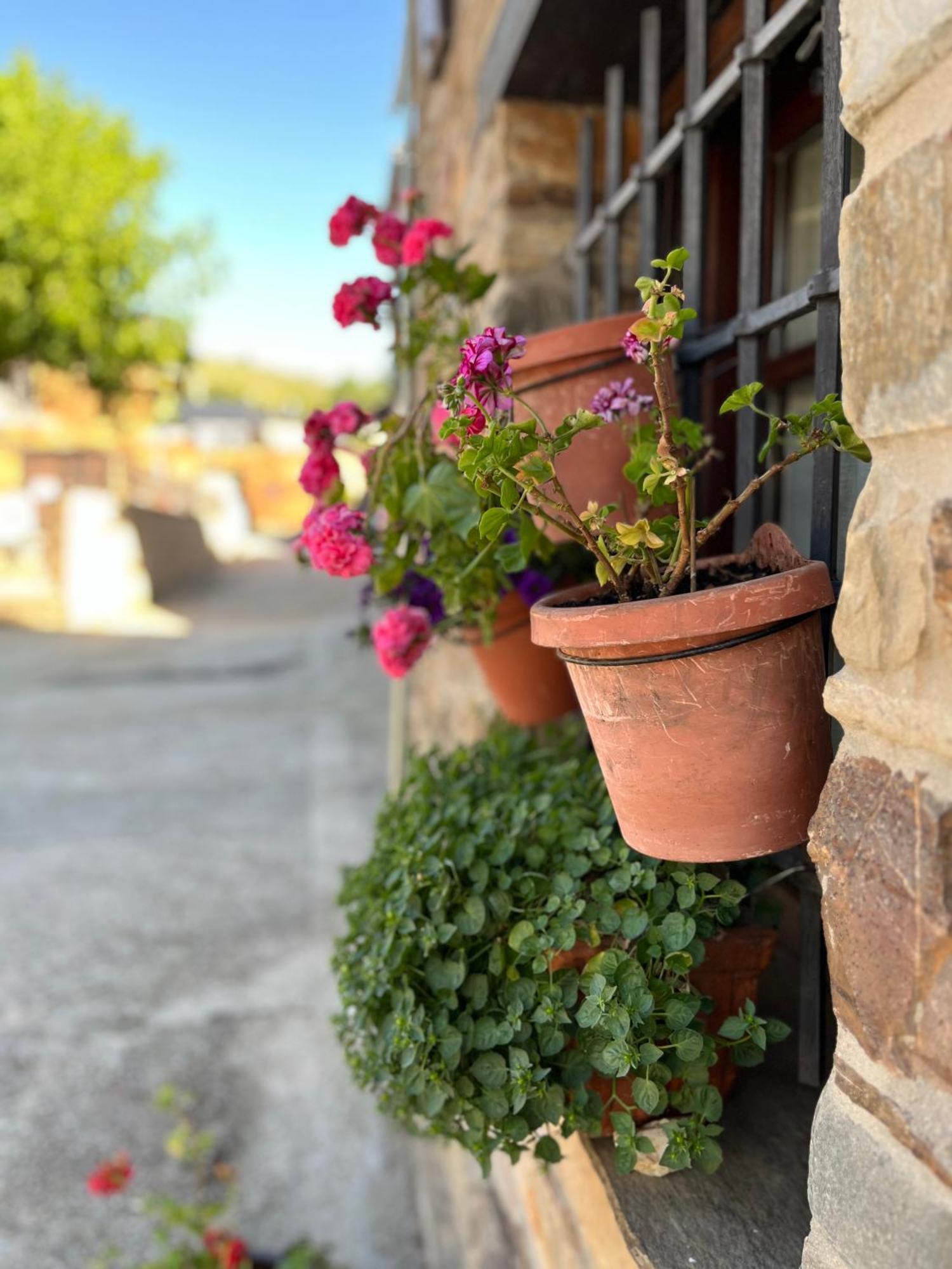 Villa La Casina De Gelo Riego de Ambros Esterno foto